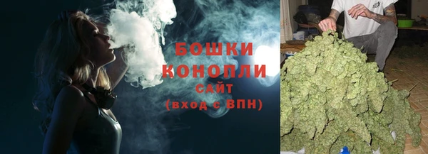 PSILOCYBIN Богородск