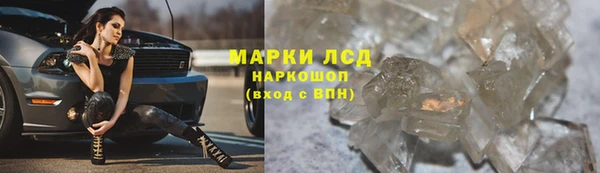 сатива Богородицк