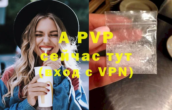 PSILOCYBIN Богородск