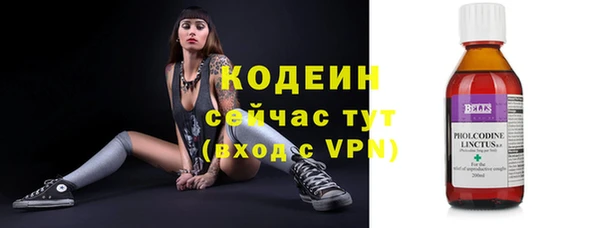 сатива Богородицк