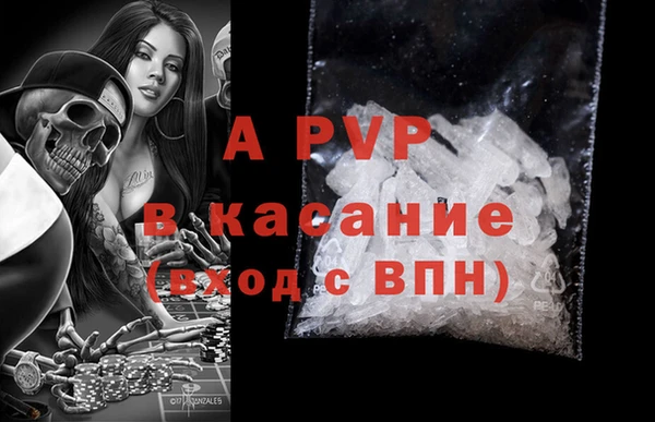 сатива Богородицк