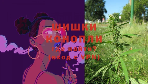 трава Богданович