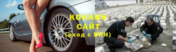 сатива Богородицк