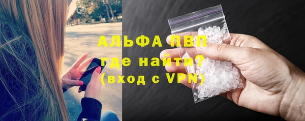 PSILOCYBIN Богородск