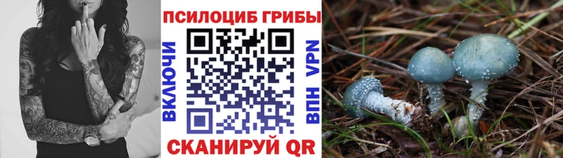Галлюциногенные грибы GOLDEN TEACHER  где можно купить наркотик  Белгород 